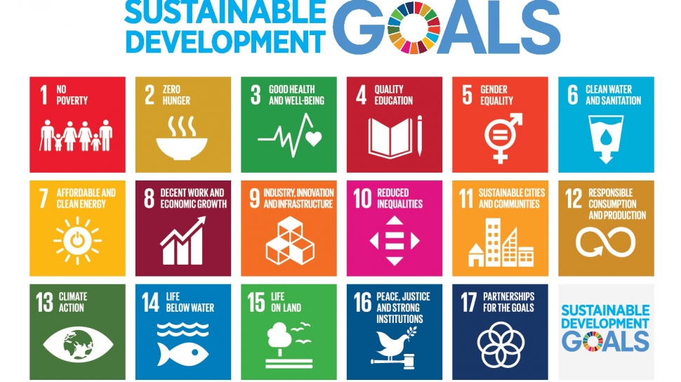 10669 sustainable development goals sdgs