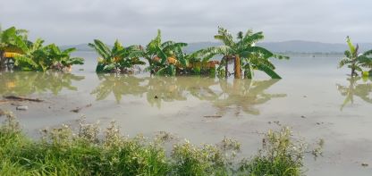 Banjir 20240316